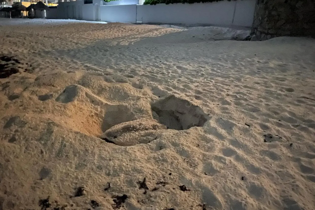 Beach, Fun & Relax At The Hotel Zone In كانكون 0*,  المكسيك